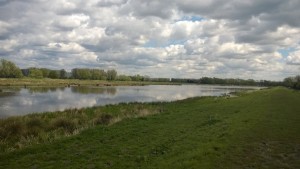 View of wetlands on the River Lark